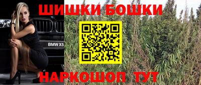 прущие грибы Заводоуковск